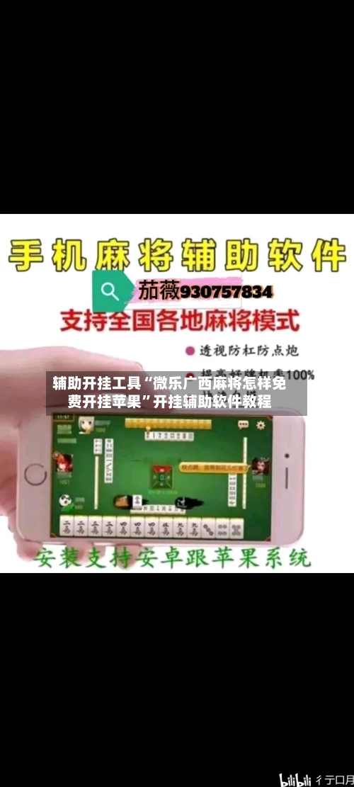 辅助开挂工具“微乐广西麻将怎样免费开挂苹果”开挂辅助软件教程-第1张图片