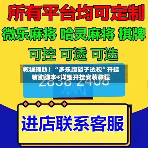 教程辅助！“多乐跑胡子透视”开挂辅助脚本+详细开挂安装教程-第3张图片