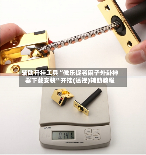 辅助开挂工具“微乐捉老麻子外卦神器下载安装”开挂(透视)辅助教程-第1张图片