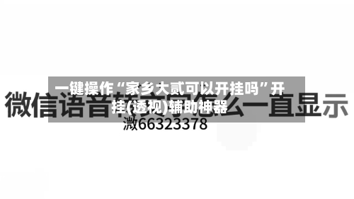 一键操作“家乡大贰可以开挂吗”开挂(透视)辅助神器-第1张图片
