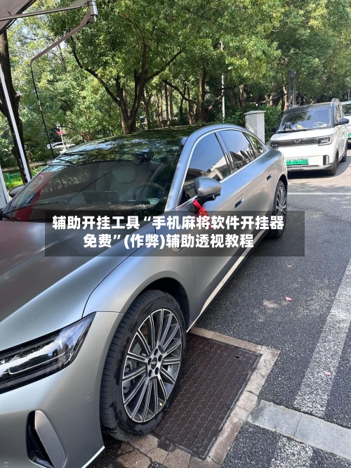 辅助开挂工具“手机麻将软件开挂器免费”(作弊)辅助透视教程-第3张图片