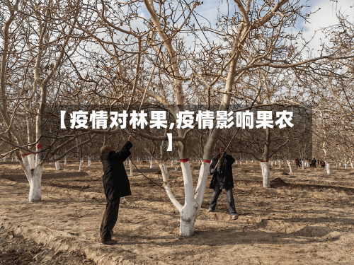 【疫情对林果,疫情影响果农】-第2张图片