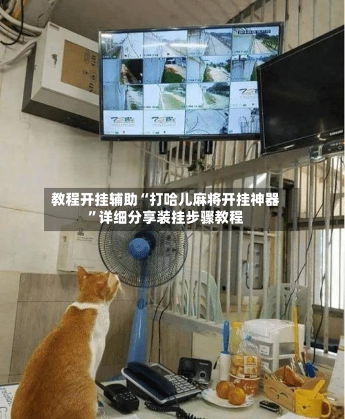 教程开挂辅助“打哈儿麻将开挂神器”详细分享装挂步骤教程-第1张图片