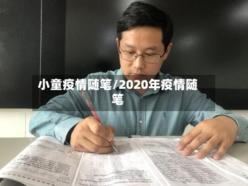 小童疫情随笔/2020年疫情随笔-第1张图片