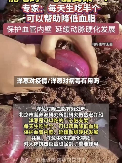洋葱对疫情/洋葱对病毒有用吗-第1张图片