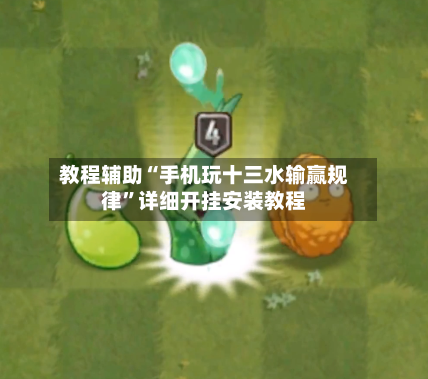 教程辅助“手机玩十三水输赢规律”详细开挂安装教程-第1张图片