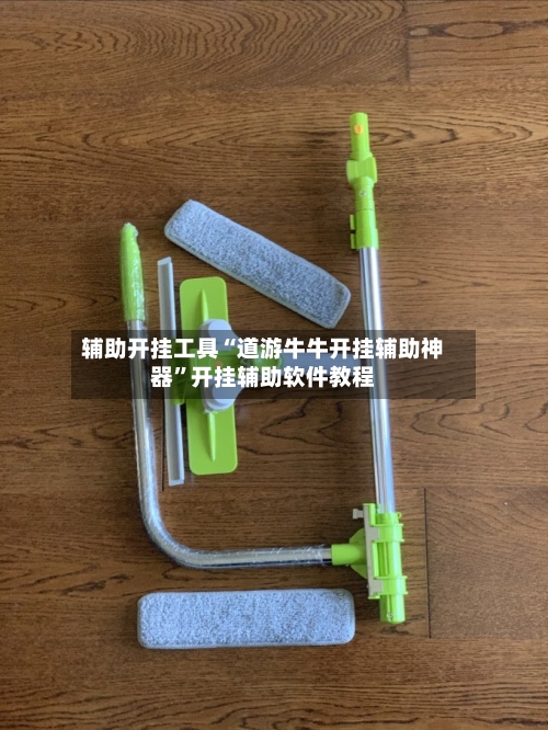 辅助开挂工具“道游牛牛开挂辅助神器	”开挂辅助软件教程-第2张图片