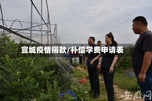 宣城疫情捐款/补偿学费申请表