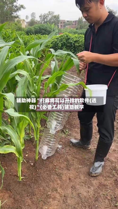 辅助神器“打麻将可以开挂的软件(透视)”(必备工具)辅助教学