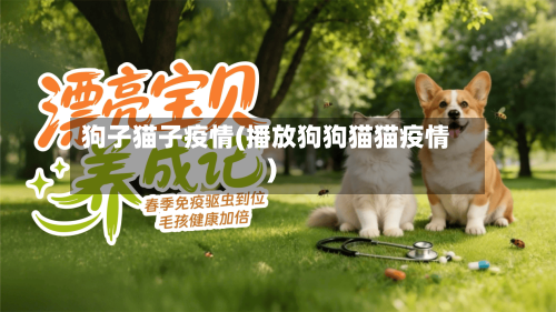 狗子猫子疫情(播放狗狗猫猫疫情)
