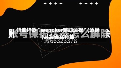 辅助神器“wepoker辅助透视”(透视)其实确实有挂-第3张图片