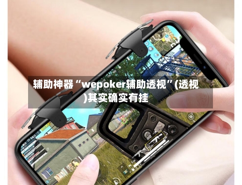 辅助神器“wepoker辅助透视”(透视)其实确实有挂-第2张图片