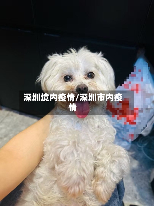 深圳境内疫情/深圳市内疫情-第1张图片