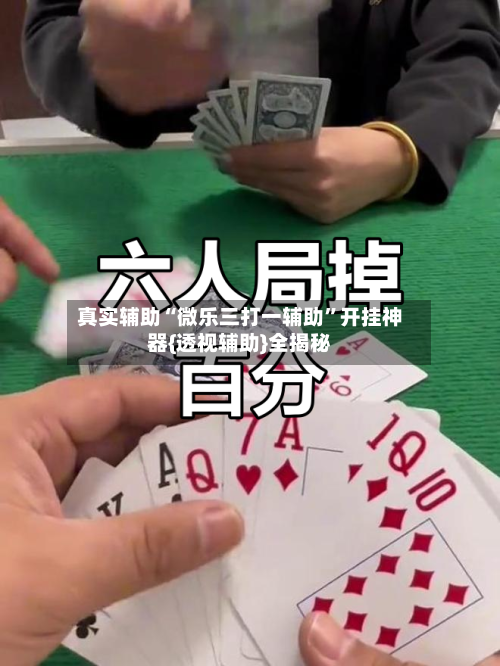 真实辅助“微乐三打一辅助	”开挂神器{透视辅助}全揭秘-第3张图片