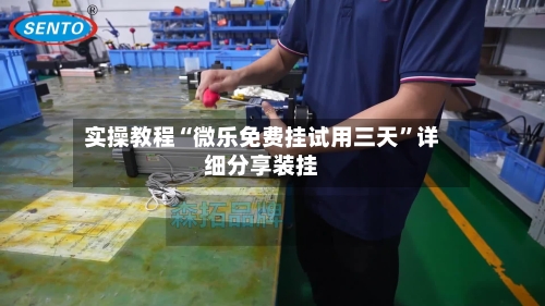实操教程“微乐免费挂试用三天”详细分享装挂-第2张图片