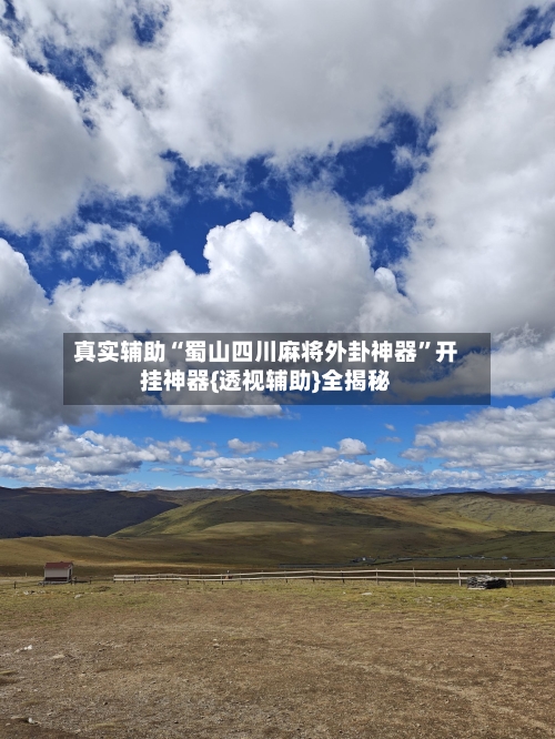 真实辅助“蜀山四川麻将外卦神器	”开挂神器{透视辅助}全揭秘-第1张图片