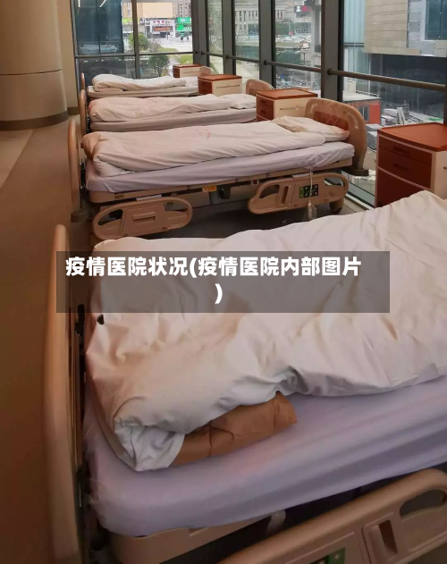 疫情医院状况(疫情医院内部图片)-第1张图片