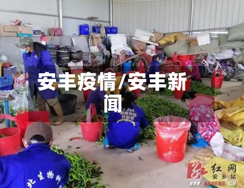 安丰疫情/安丰新闻-第1张图片