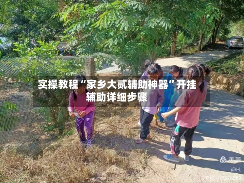 实操教程“家乡大贰辅助神器”开挂辅助详细步骤-第1张图片