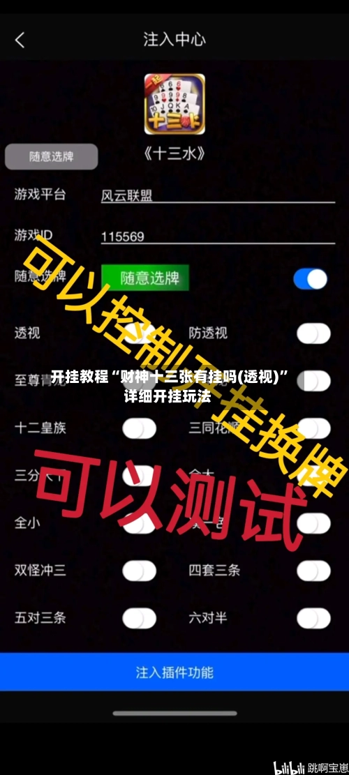 开挂教程“财神十三张有挂吗(透视)”详细开挂玩法-第1张图片