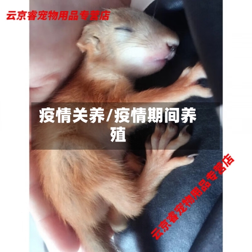 疫情关养/疫情期间养殖-第1张图片