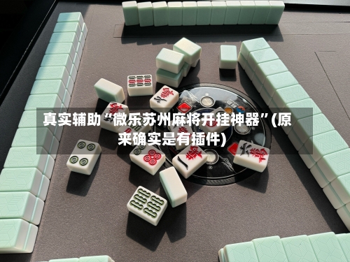真实辅助“微乐苏州麻将开挂神器”(原来确实是有插件)-第3张图片
