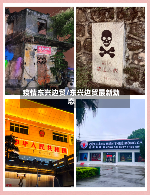 疫情东兴边贸/东兴边贸最新动态-第1张图片