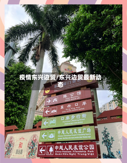 疫情东兴边贸/东兴边贸最新动态-第2张图片