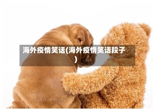 海外疫情笑话(海外疫情笑话段子)-第3张图片