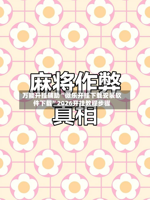万能开挂辅助“微乐开挂下载安装软件下载”2026开挂教程步骤-第2张图片
