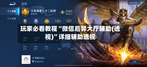 玩家必看教程“微信后羿大厅辅助(透视)	”详细辅助透视-第1张图片