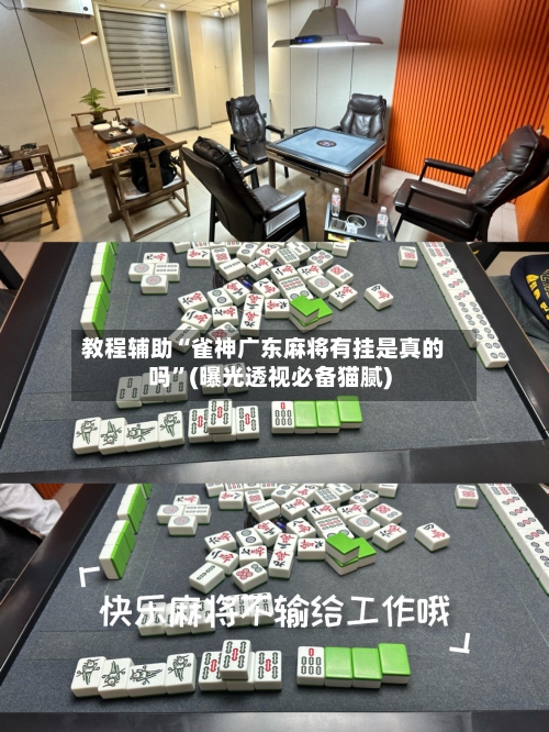 教程辅助“雀神广东麻将有挂是真的吗	”(曝光透视必备猫腻)-第1张图片
