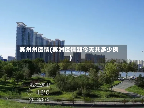 宾州州疫情(宾洲疫情到今天共多少例)-第2张图片