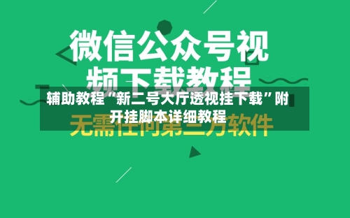 辅助教程“新二号大厅透视挂下载”附开挂脚本详细教程-第3张图片