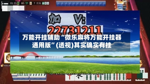 万能开挂辅助“微乐麻将万能开挂器通用版”(透视)其实确实有挂-第1张图片