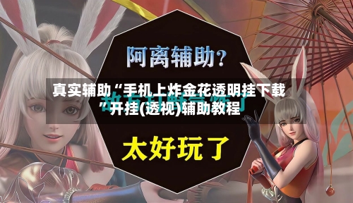 真实辅助“手机上炸金花透明挂下载”开挂(透视)辅助教程-第2张图片