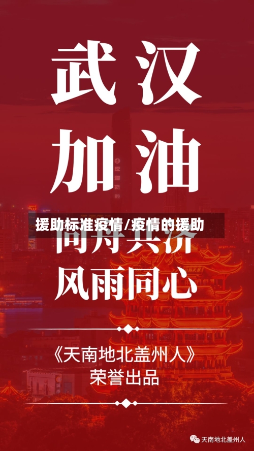 援助标准疫情/疫情的援助-第3张图片