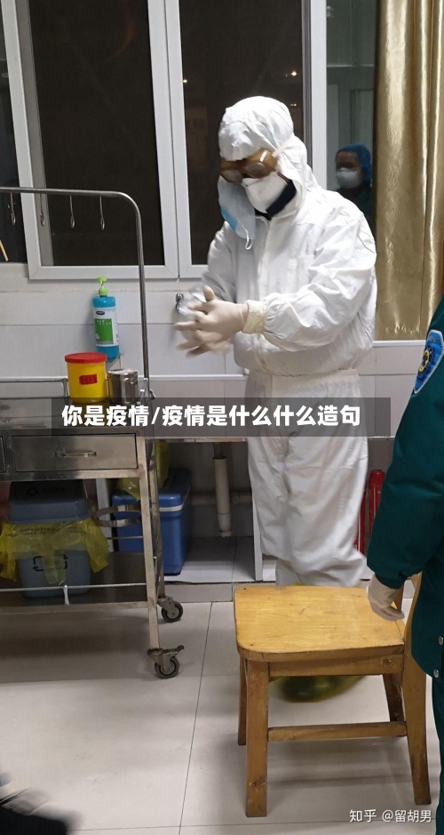 你是疫情/疫情是什么什么造句-第1张图片