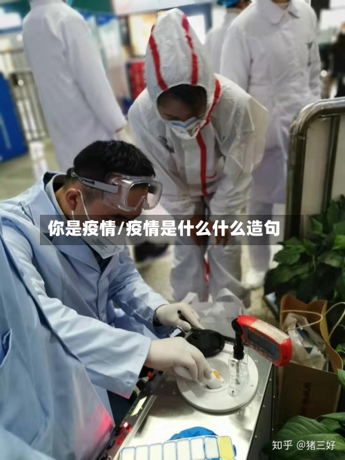 你是疫情/疫情是什么什么造句-第2张图片