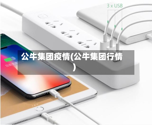 公牛集团疫情(公牛集团行情)-第1张图片