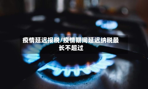 疫情延迟报税/疫情期间延迟纳税最长不超过-第3张图片