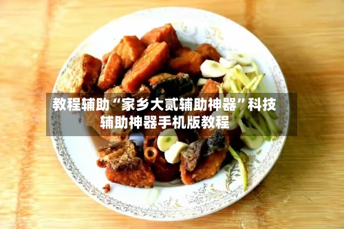 教程辅助“家乡大贰辅助神器”科技辅助神器手机版教程-第2张图片