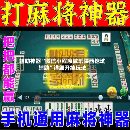 辅助神器“微信小程序微乐陕西挖坑辅助”详细开挂玩法-第1张图片