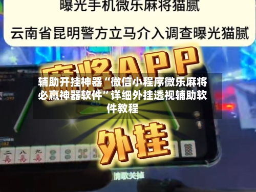 辅助开挂神器“微信小程序微乐麻将必赢神器软件”详细外挂透视辅助软件教程-第2张图片