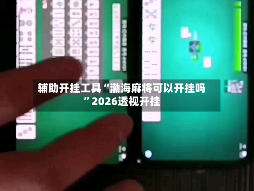 辅助开挂工具“渤海麻将可以开挂吗”2026透视开挂-第2张图片