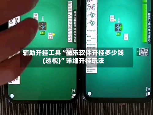 辅助开挂工具“微乐软件开挂多少钱(透视)”详细开挂玩法-第2张图片