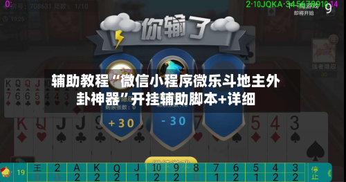 辅助教程“微信小程序微乐斗地主外卦神器”开挂辅助脚本+详细-第2张图片
