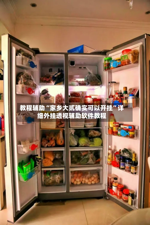 教程辅助“家乡大贰确实可以开挂”详细外挂透视辅助软件教程-第1张图片