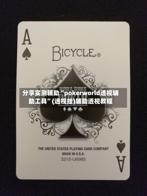 分享实测辅助“pokerworld透视辅助工具	”(透视挂)辅助透视教程-第1张图片