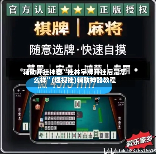 辅助开挂神器“桂林字牌开挂后是怎么样”(透视挂)辅助神器教程-第1张图片